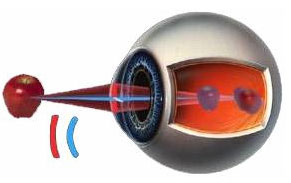 Зрительный аппарат глаза